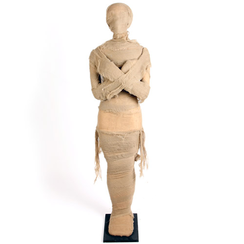 이집트 미이라 전신모형(160cm)